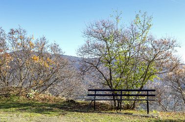 Similar image 21140635