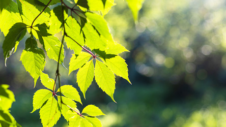 Similar image 21156398