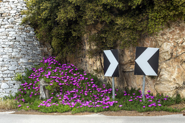 Similar image 21137397