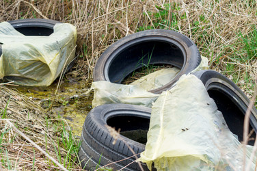 Similar image 21189994