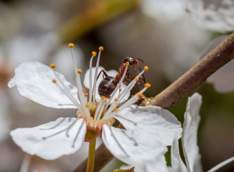 Similar image 21189995