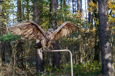 Similar image 21189996