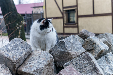 Similar image 21190003