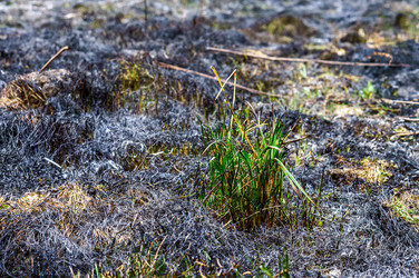 Similar image 21190005