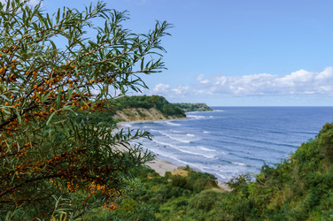 Similar image 21190008