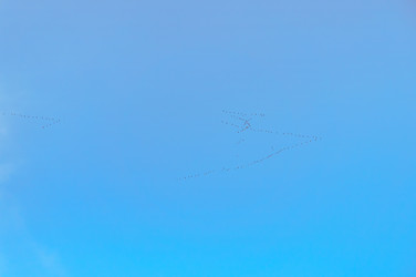 Similar image 21190009