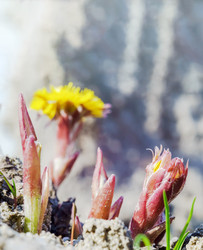 Similar image 21190011