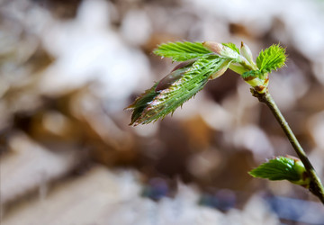 Similar image 21190018