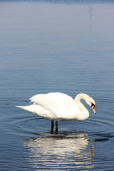 Similar image 21171894