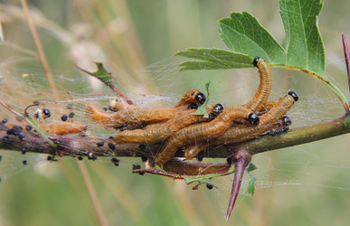 Similar image 21186663