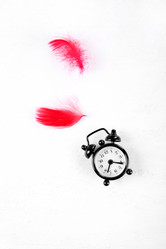 Similar image 21148976