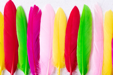 Similar image 21146131