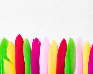 Similar image 21148978