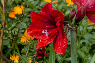 Similar image 21186667