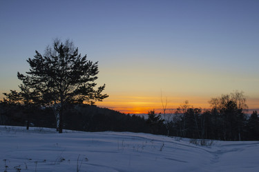 Similar image 21190588