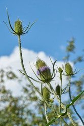 Similar image 21171290