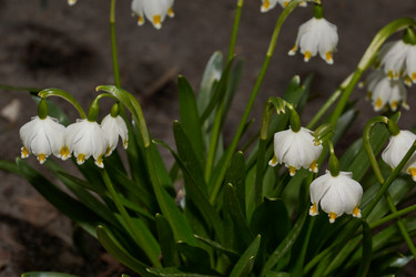 Similar image 21169871