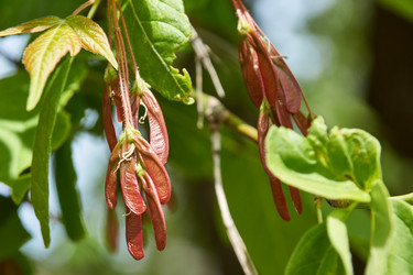 Similar image 21171291