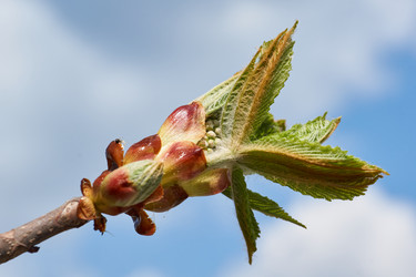 Similar image 21198282