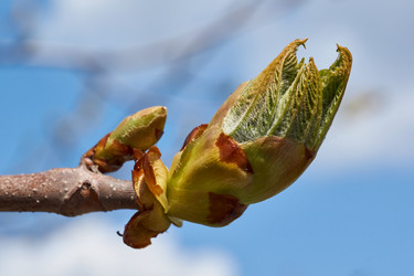 Similar image 21168568