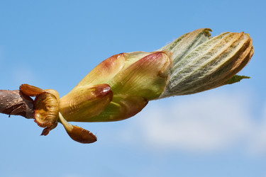 Similar image 21169873