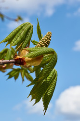 Similar image 21168569