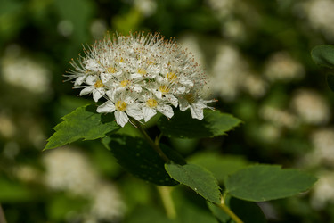 Similar image 21171293