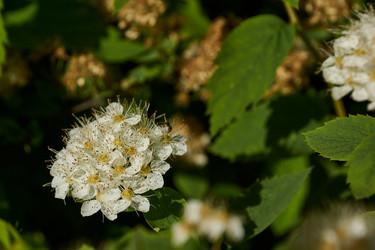 Similar image 21198283