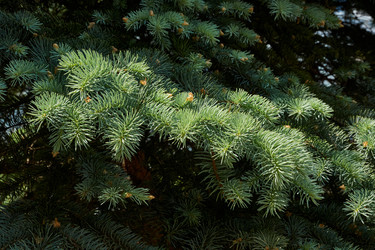 Similar image 21171294