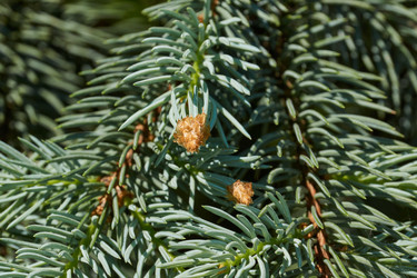 Similar image 21168573