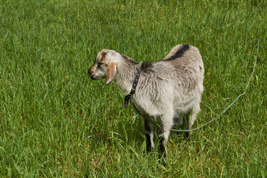 Similar image 21169874