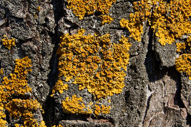 Similar image 21168575