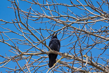 Similar image 21169875