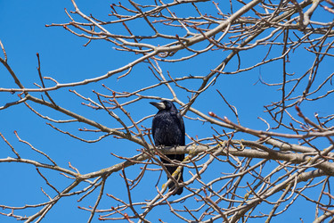 Similar image 21157556