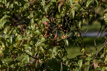 Similar image 21150125