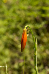 Similar image 21137401