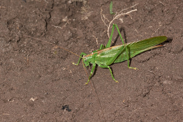 Similar image 21168576