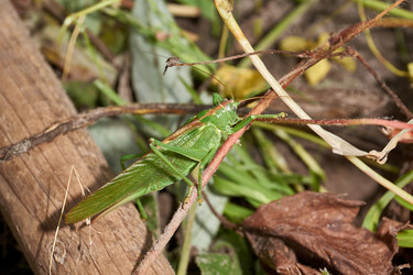 Similar image 21168578