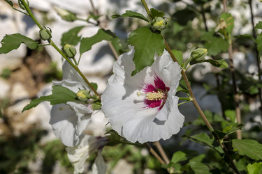 Similar image 21186668