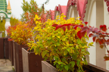 Similar image 21179906