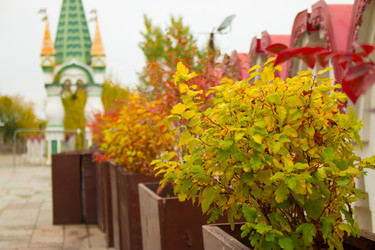 Similar image 21179908