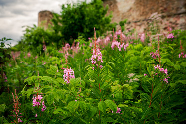 Similar image 21167330