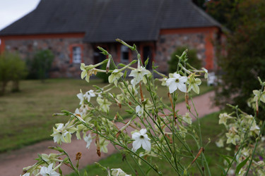 Similar image 21188572