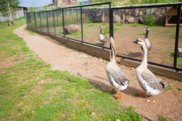 Similar image 21179920