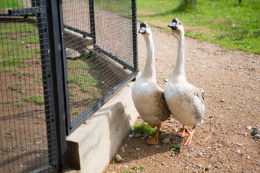 Similar image 21179921