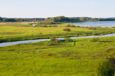 Similar image 21179922