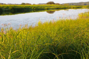 Similar image 21179923