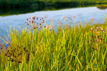 Similar image 21179924