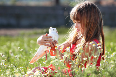 Similar image 21180524