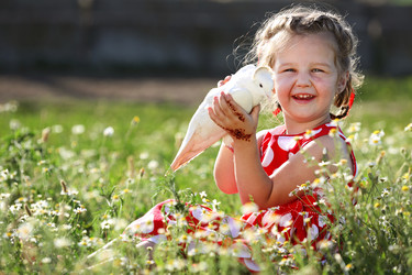 Similar image 21180526